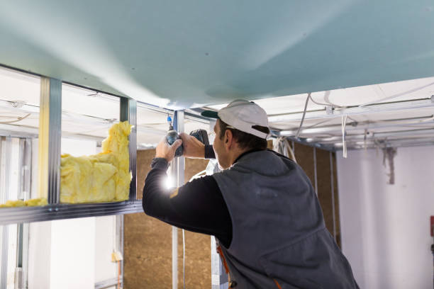Best Cellulose Insulation in Corralitos, CA