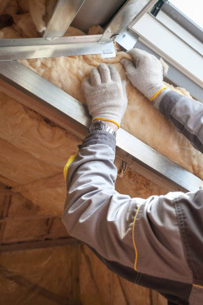 Best Eco-Friendly Insulation in Corralitos, CA